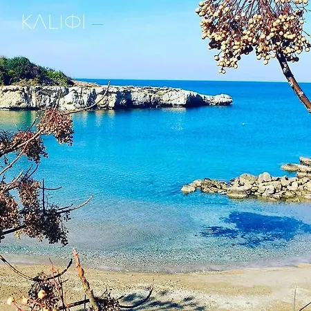 Sun 'n Joy * 帕拉利米尼