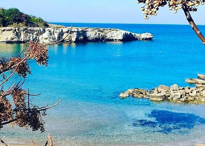 Sun 'n Joy * 파라림니