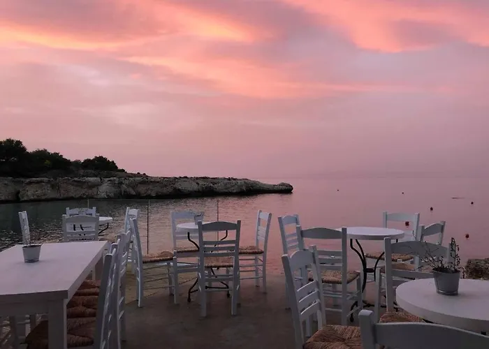 Sun 'n Joy 파라림니